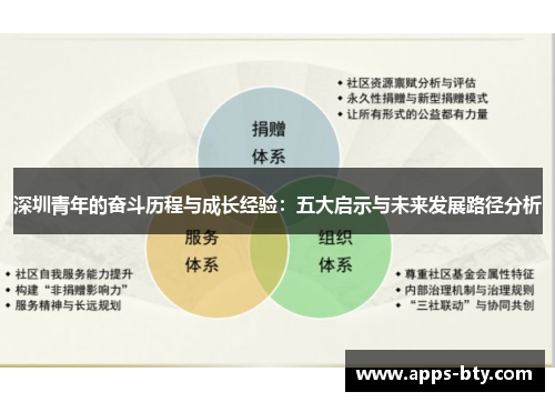 深圳青年的奋斗历程与成长经验：五大启示与未来发展路径分析