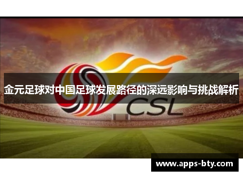 金元足球对中国足球发展路径的深远影响与挑战解析