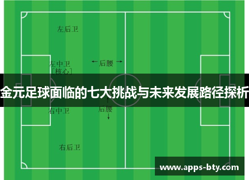 金元足球面临的七大挑战与未来发展路径探析