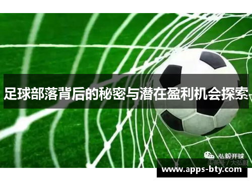 足球部落背后的秘密与潜在盈利机会探索 足球部落背后的秘密与潜在盈利机会探索